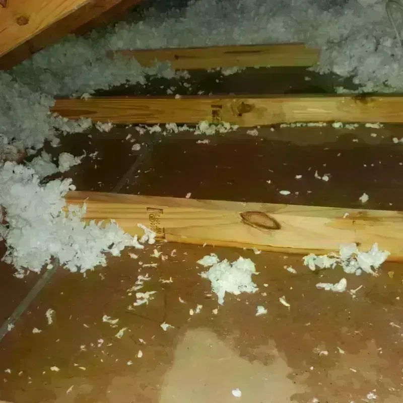 Attic Water Damage in Kentfield, CA