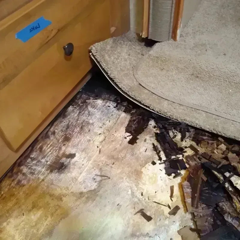 Best Wood Floor Water Damage Service in Kentfield, CA